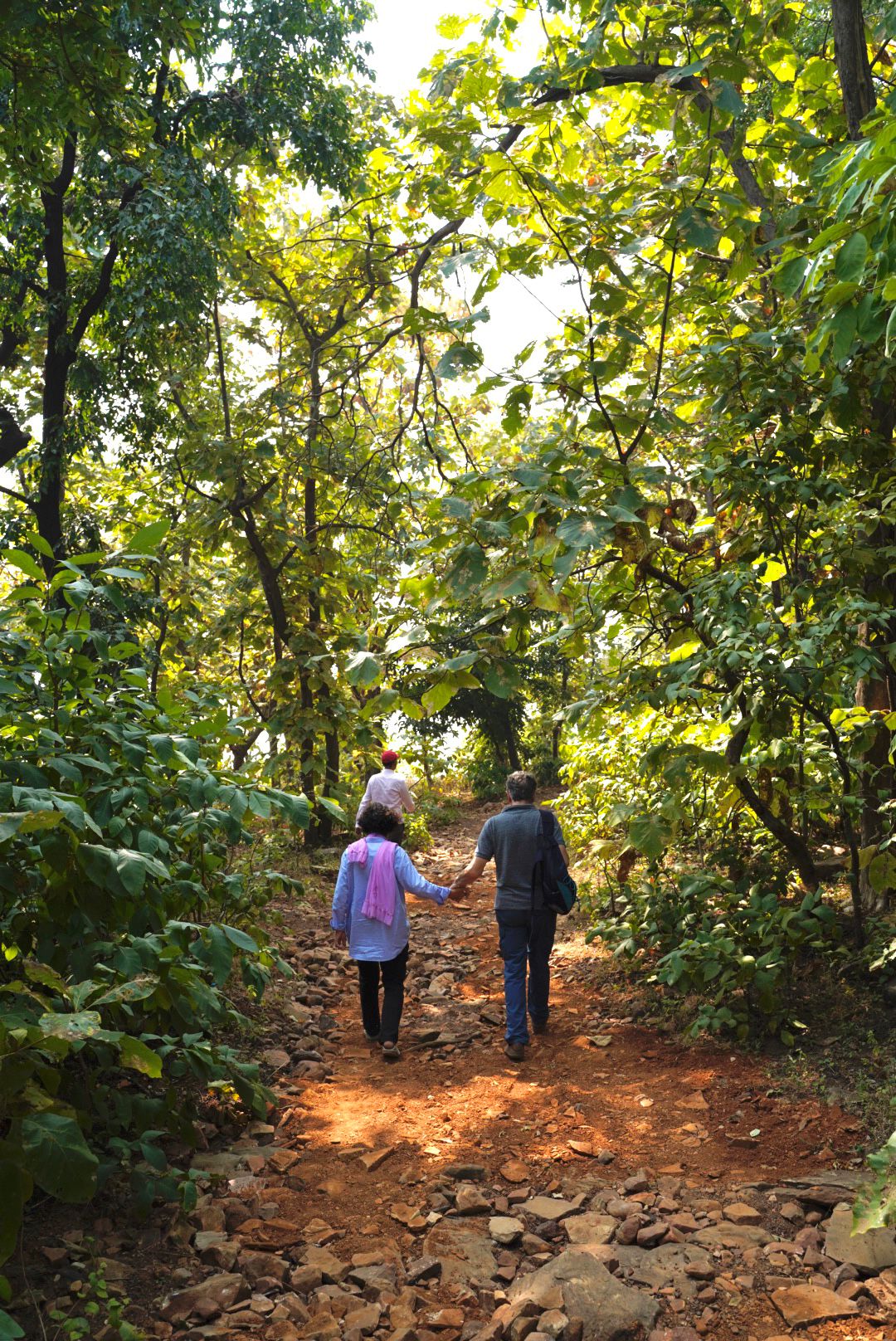 Palace Walks: Kila Dalijoda