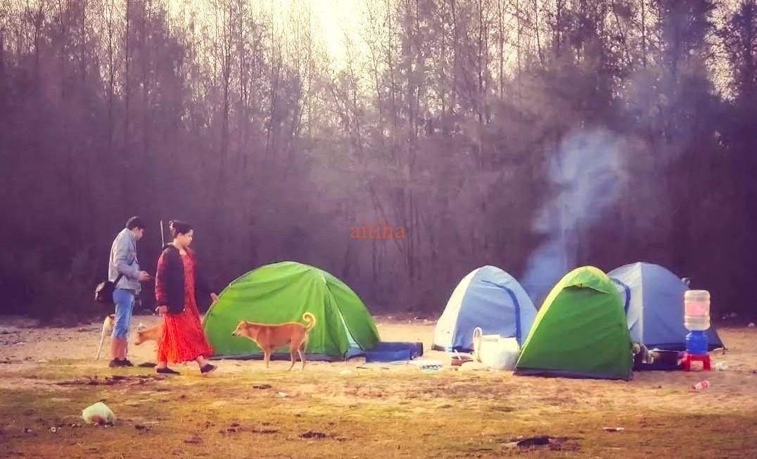 Night Under The Stars