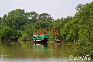 Bhitarakanika Cruise