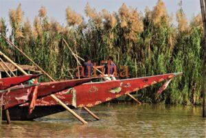 Magical Mangalajodi Tour