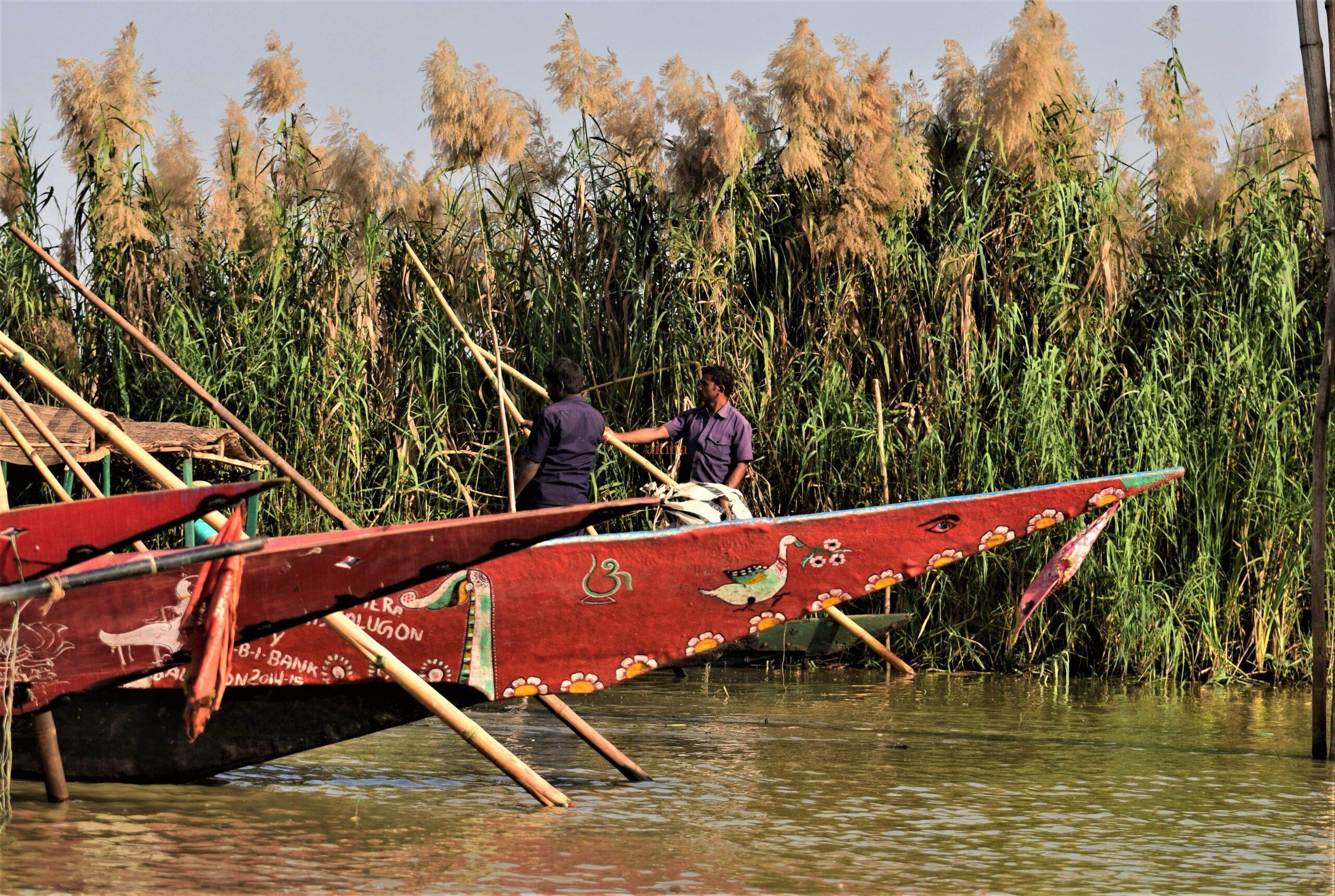 Magical Mangalajodi Tour